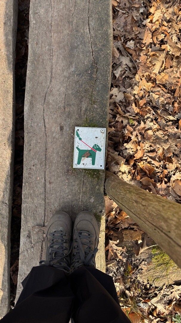 Bruggekeswandeling Ravels