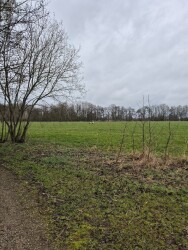 Dedemsvaart - Groen