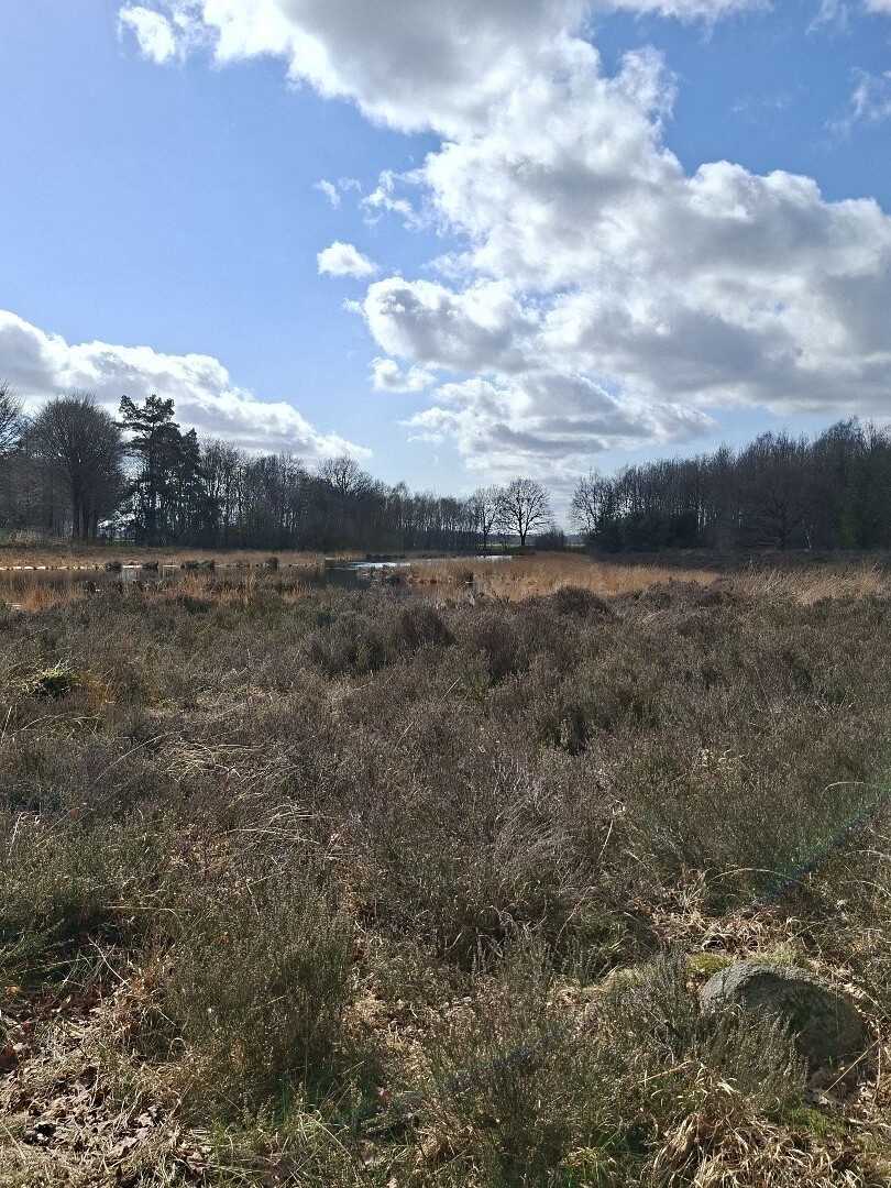 Wezup - Wezuperbrug · Cultuurpad Coevorden etappe 9