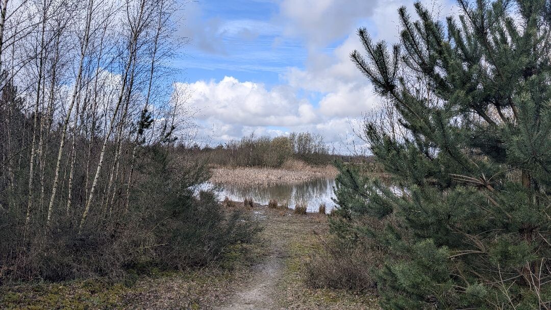 Barger-Oosterveld naar Nieuw-Schoonebeek "Het moeras" · NederRandpad etappe 4