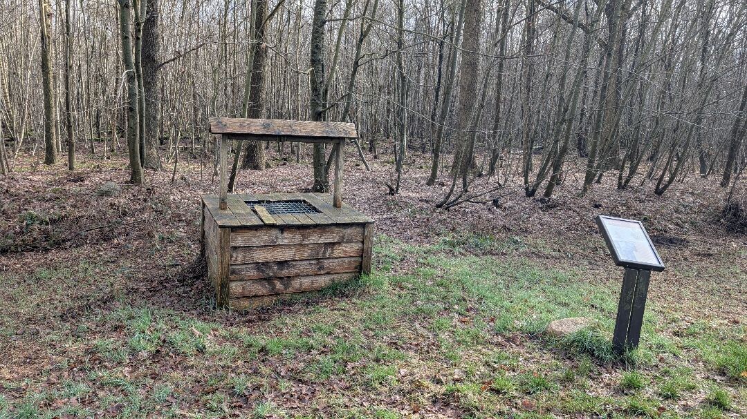 Barger-Oosterveld naar Nieuw-Schoonebeek "Het moeras" · NederRandpad etappe 4