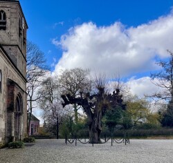 Heveadorp, Westerbouwing - Arnhem, Meinerswijk · Romeinse Limespad etappe 14