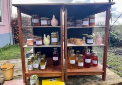Heveadorp, Westerbouwing - Arnhem, Meinerswijk · Romeinse Limespad etappe 14
