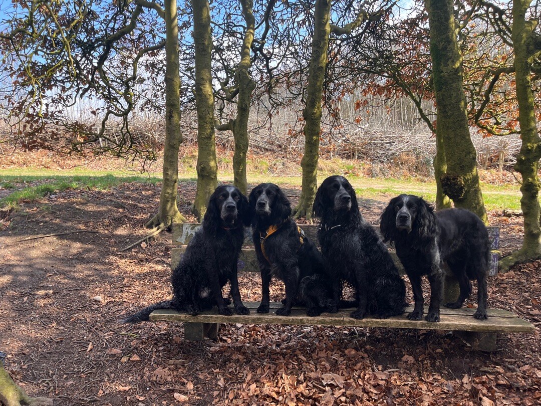 Heveadorp, Westerbouwing - Arnhem, Meinerswijk · Romeinse Limespad etappe 14