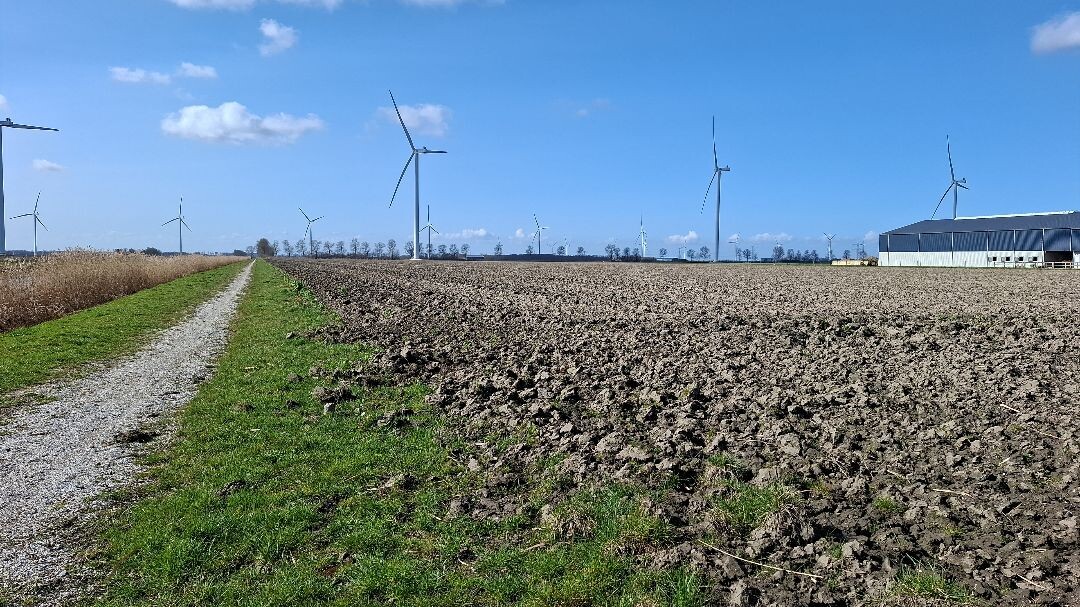 Ketelmeer - Klokbekerweg, Lely · Pionierspad etappe 5