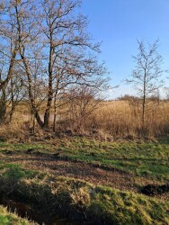 Wandelroute Houtwiel