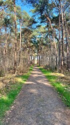 TOP Natuur  wandelroute Huis ter Heide