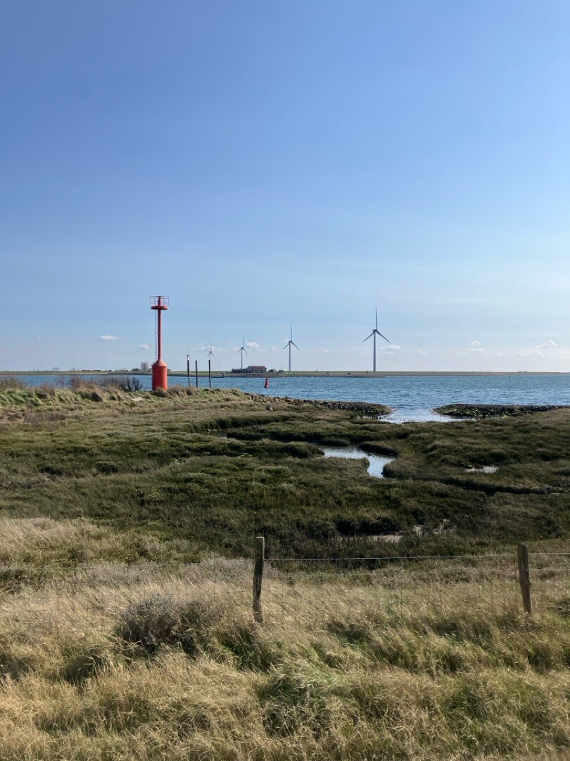 Oosterscheldepad