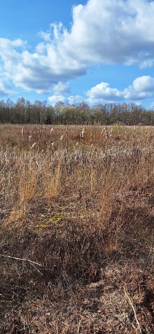Sibculo naar Manderveen- "TwenteRand" · NederRandpad etappe 8