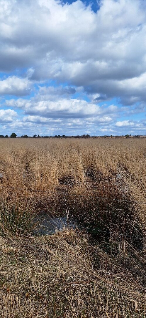 Sibculo naar Manderveen- "TwenteRand" · NederRandpad etappe 8