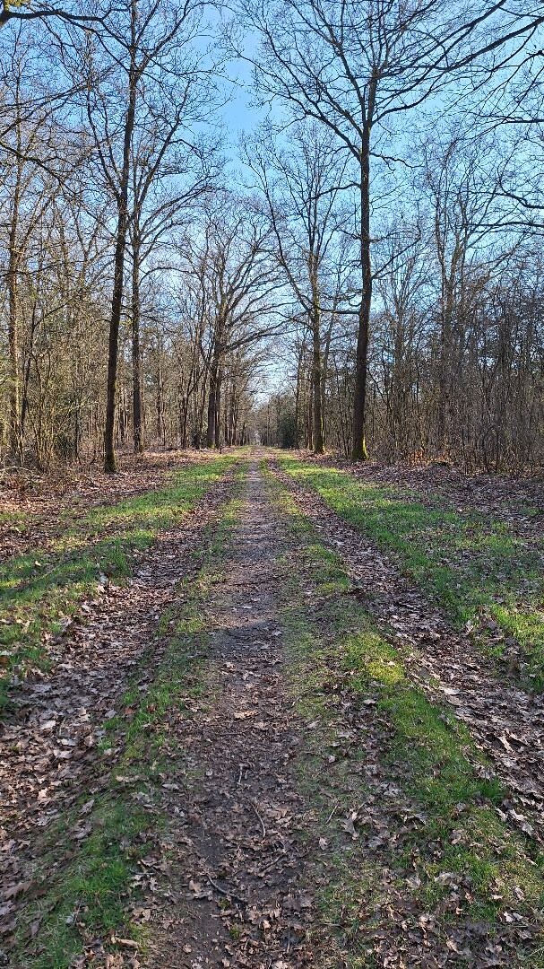 Wandeling vanaf station Emmen-Zuid naar Noordbarger Bos