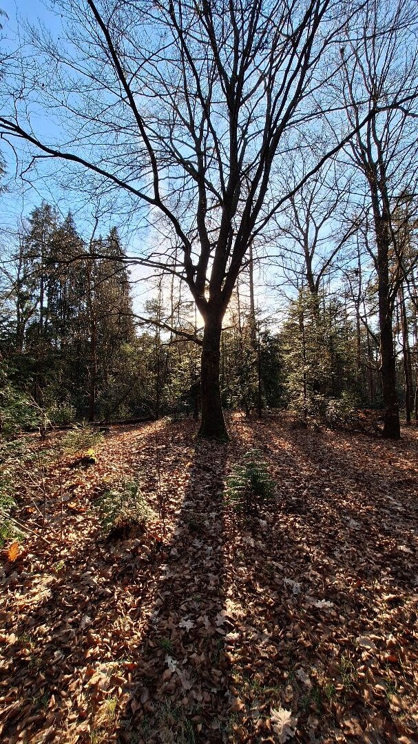 Rondwandeling vanaf NS-station Emmen-Zuid