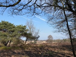 Door de geschiedenis van Drenthe