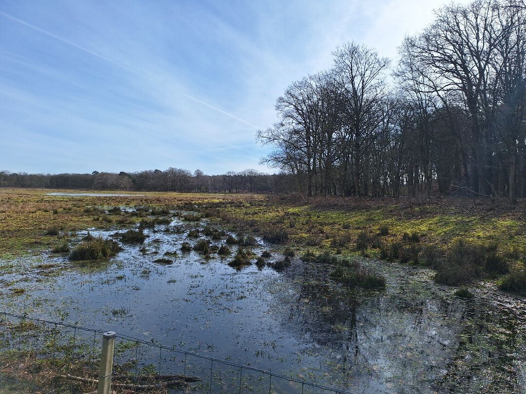Rondje Laarder Wasmeer (groen)
