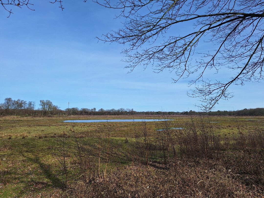 Rondje Laarder Wasmeer (groen)