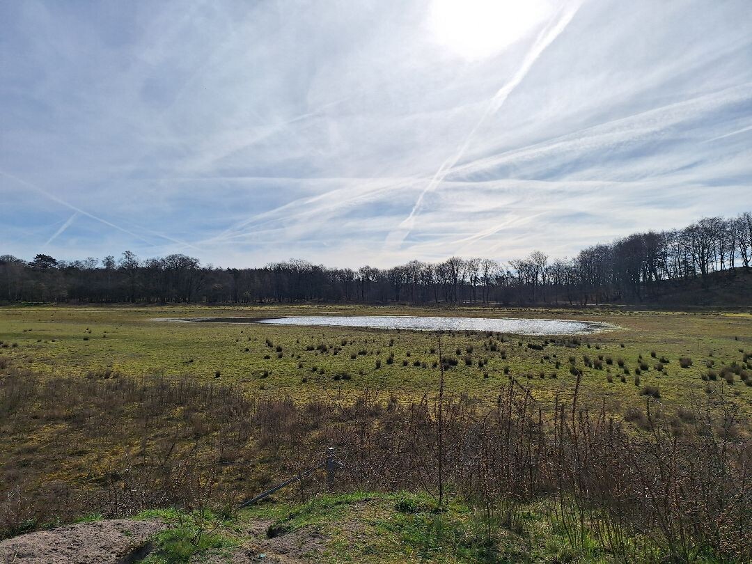 Rondje Laarder Wasmeer (groen)