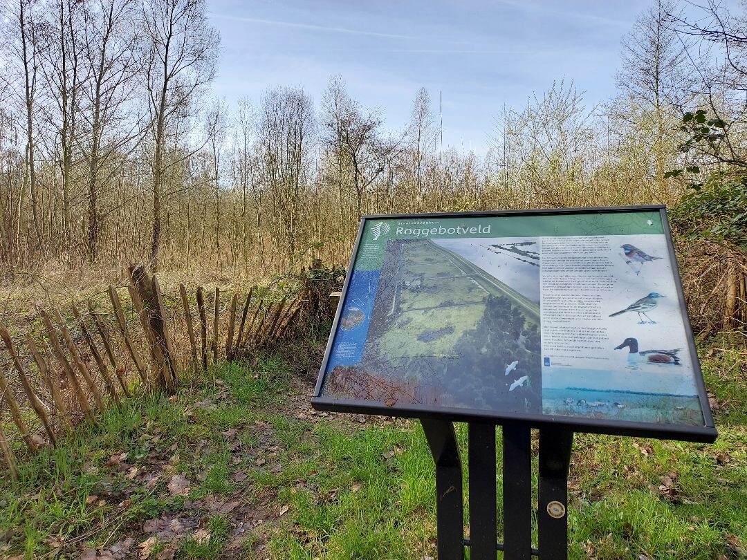 Boswandeling Roggebotbos