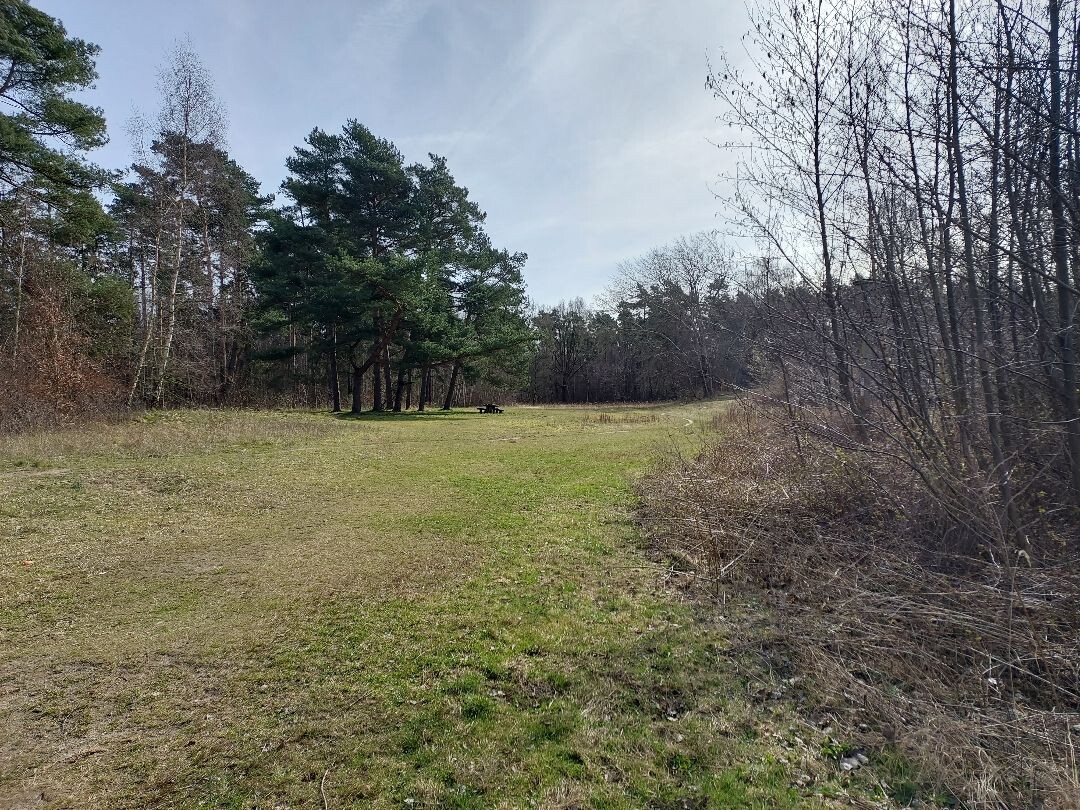 Boswandeling Roggebotbos