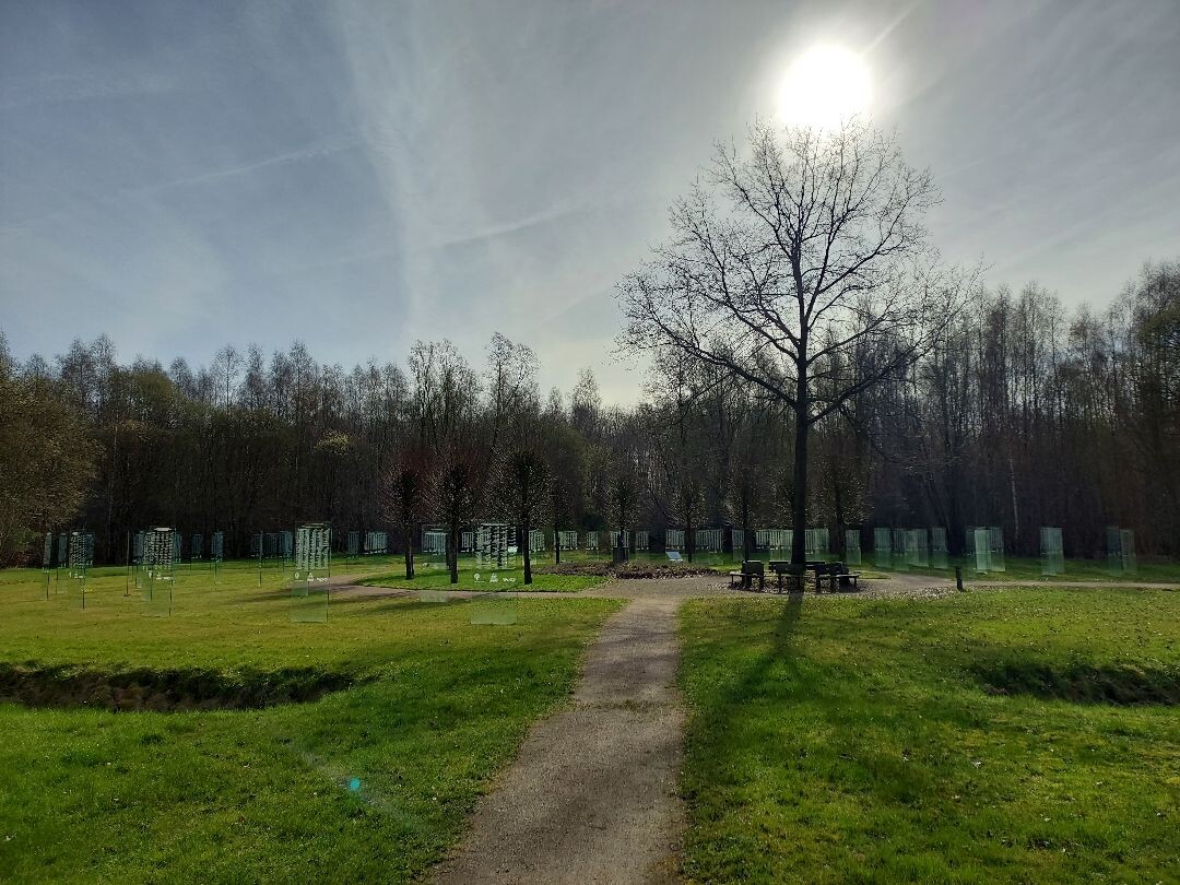 Boswandeling Roggebotbos