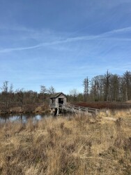 De Oldemeijer - Groen