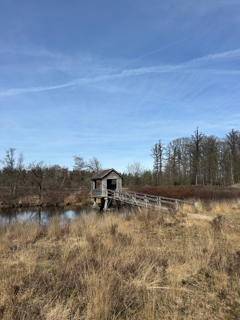 De Oldemeijer - Groen