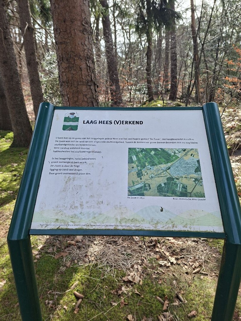 Heuvelrug Hike etappe 2