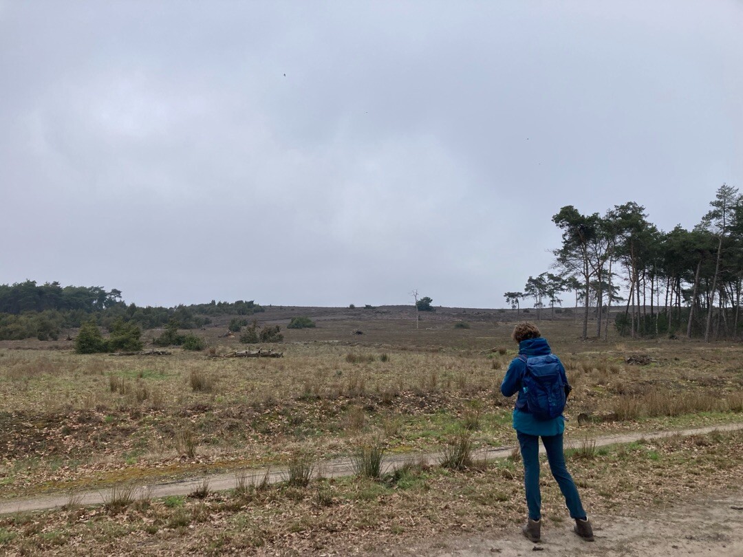 Rondwandeling Beneden Regge 18 km