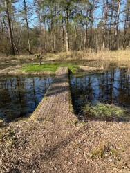 Wandelroute laarzenpad Wijboschbroek