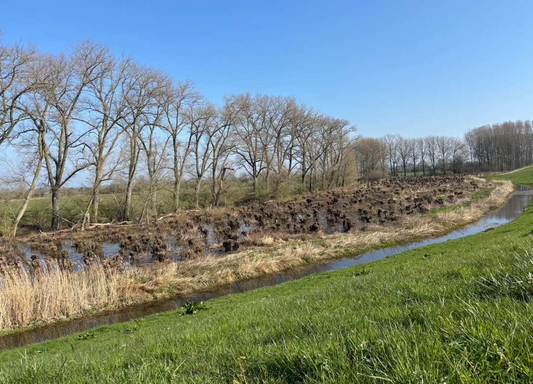 Tweede deel eerste etappe Bossche A4D 25 km route