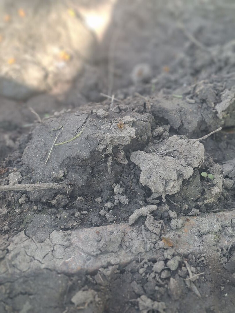 Blauwe Kamer - Grebbeberg · Grebbeliniepad etappe 2