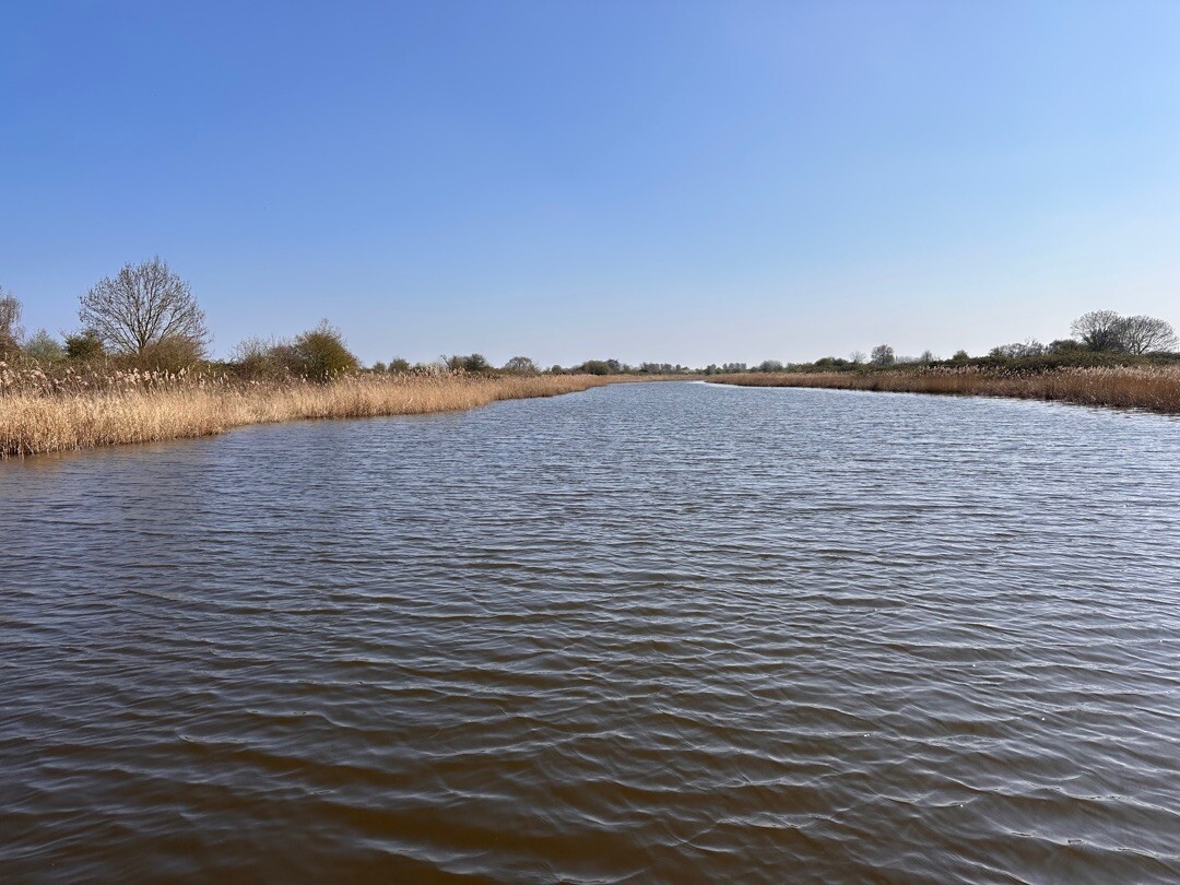 Wandelroute Dintelse Gorzen, blauwe route (3 km) en gele route (5 km)