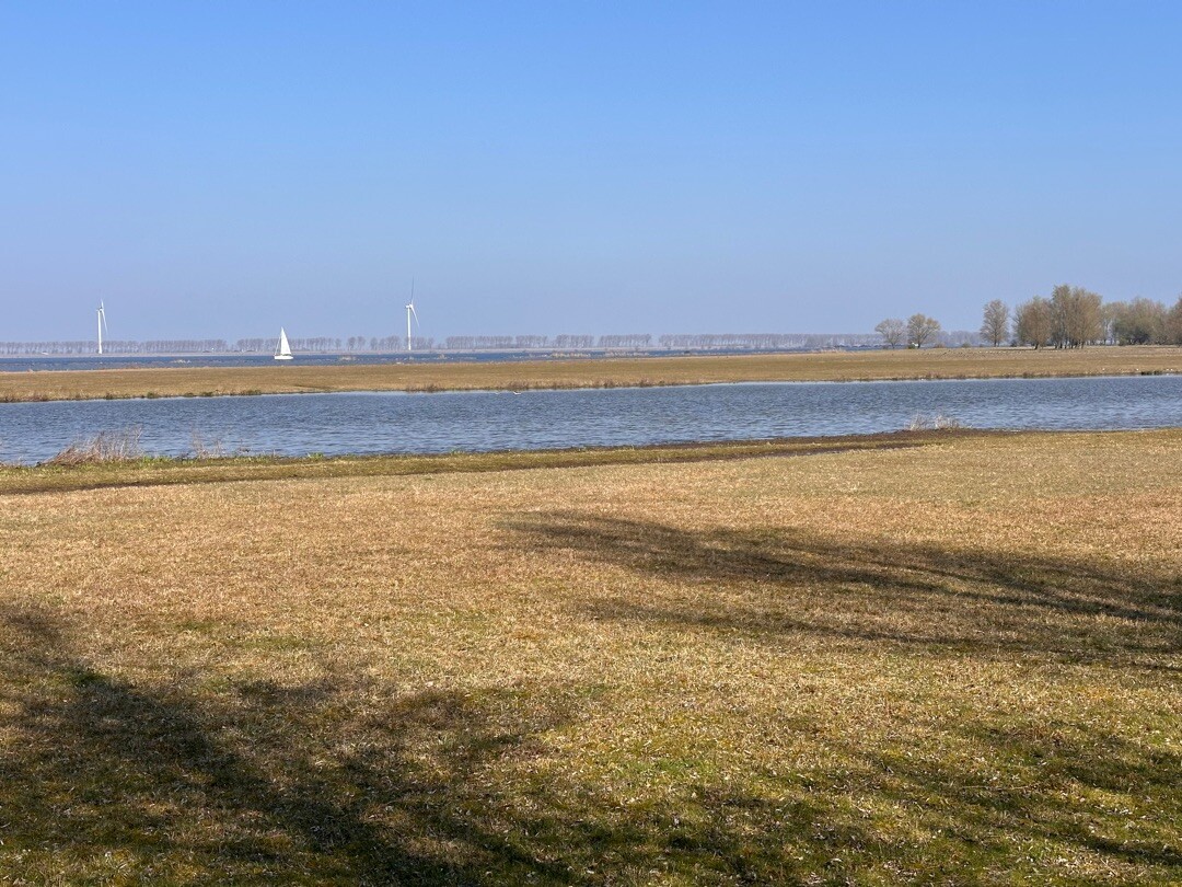 Wandelroute Dintelse Gorzen, blauwe route (3 km) en gele route (5 km)