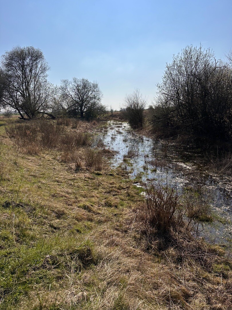 Korte route Dintelse Gorzen, rode route (2,8 km)