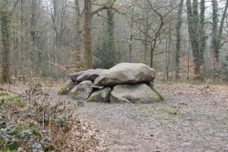 Wandelroute Strubben Kniphorstbosch