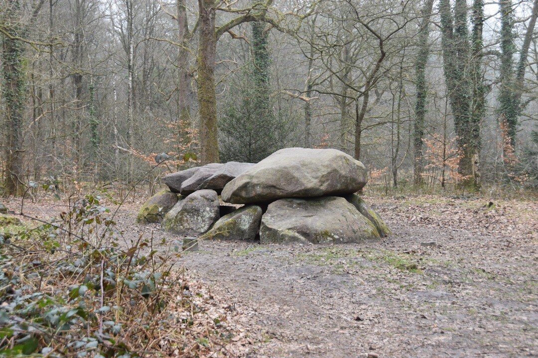 Wandelroute Strubben Kniphorstbosch