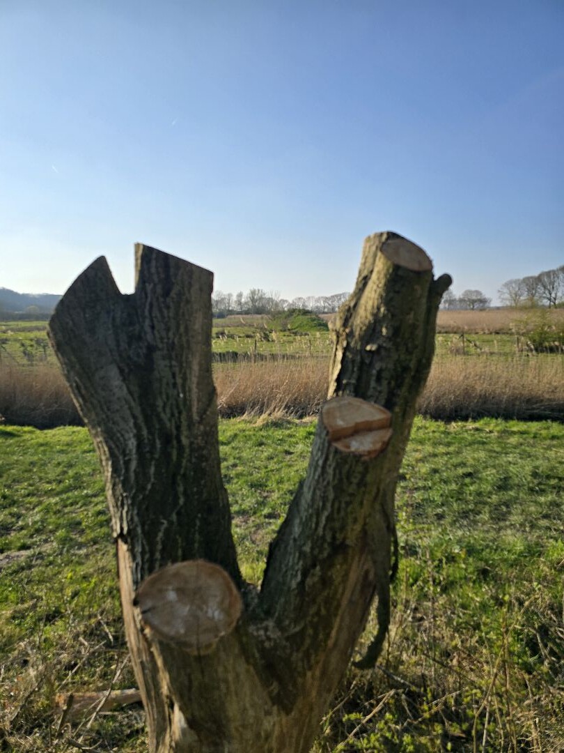 Het Binnenste Buitenland