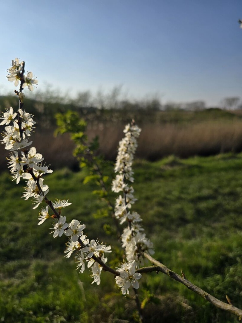 Het Binnenste Buitenland