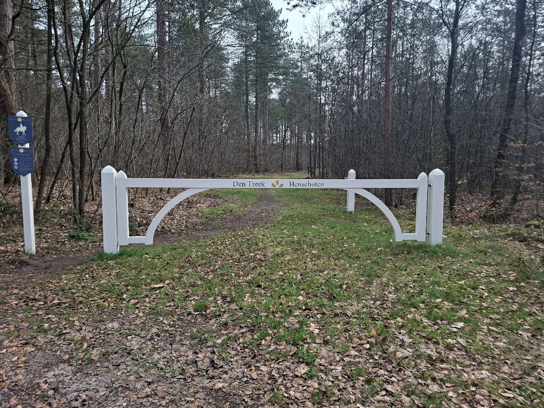 Wandelen door de bossen van de Utrechtse Heuvelrug