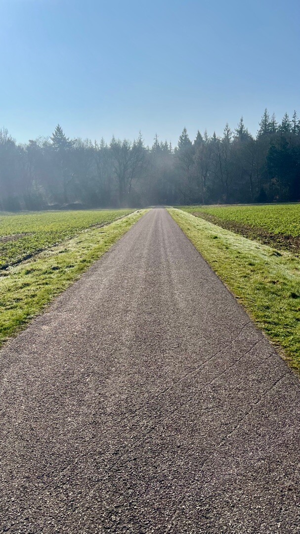 Schoonloo - Sleen · Pieterpad etappe 6