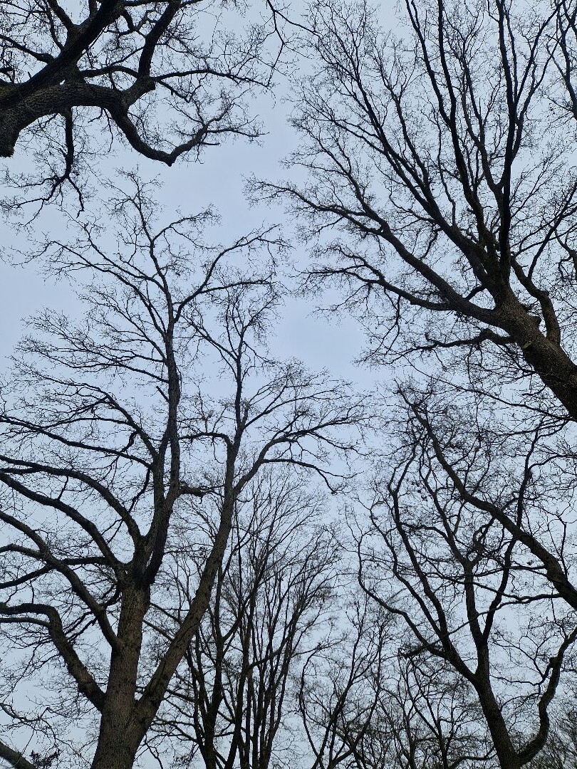 Beckum (paarse route)