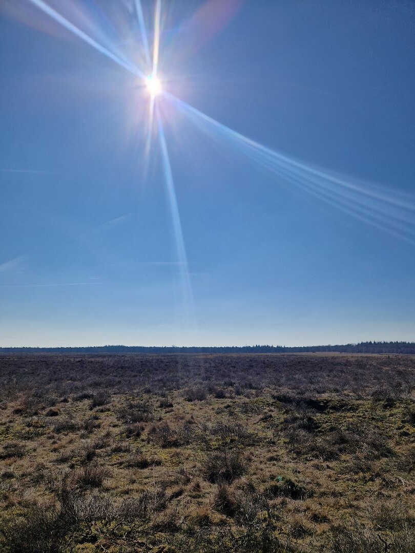 Planken Wambuis / Ginkelse Hei