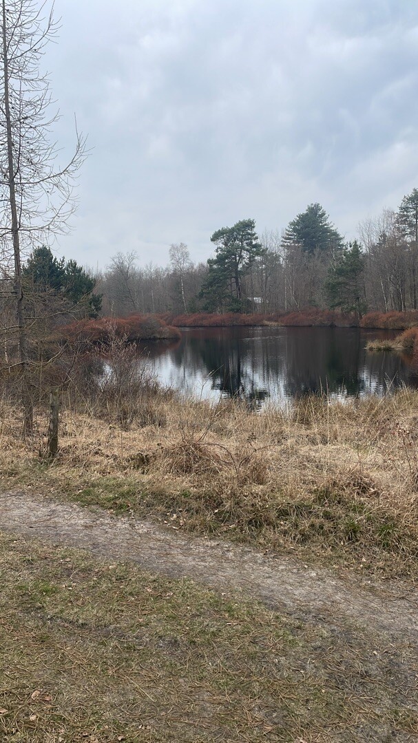 Ter Apel - Nieuw-Dordrecht · Noaberpad etappe 6