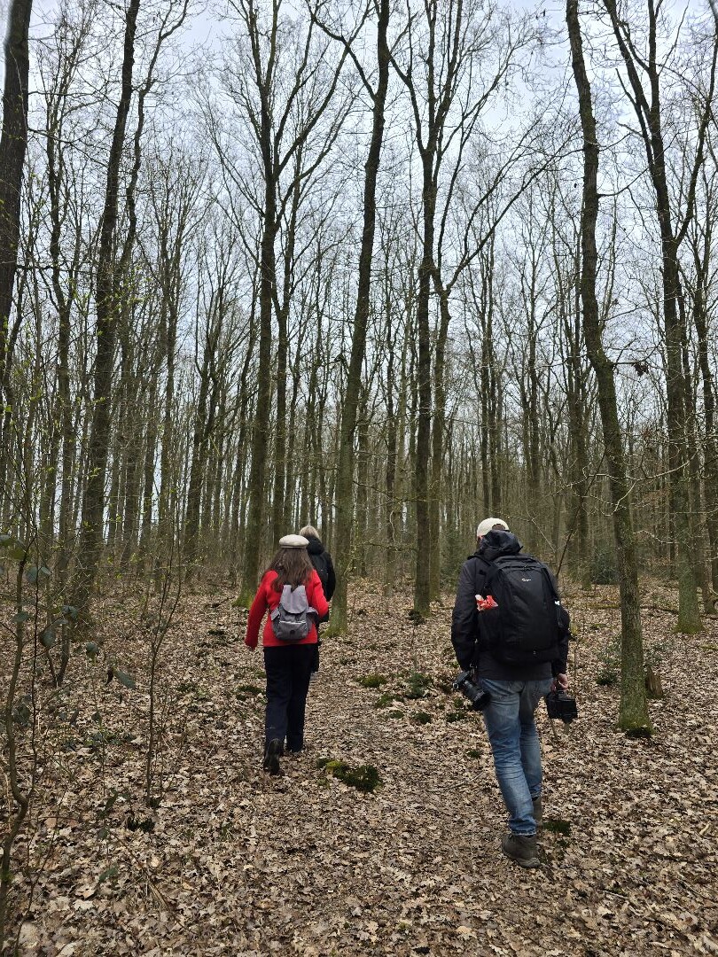 Pionierspad dagwandeling A