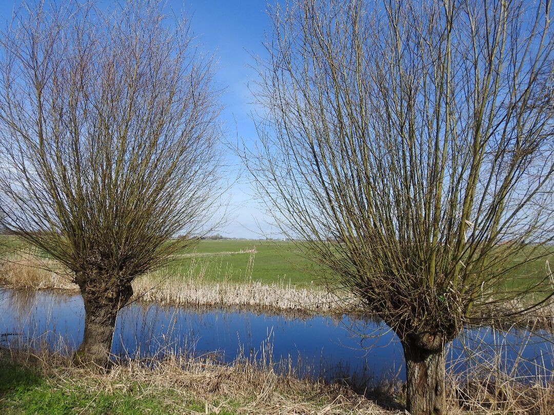 Wandelroute met de pont naar Abbenwier