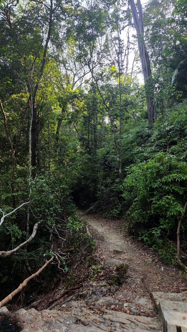 Teluk Bahang - Pantai Kerachut