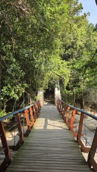 Teluk Bahang - Pantai Kerachut