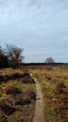 Kootwijk - Veenhuizerveld · Marskramerpad etappe 11