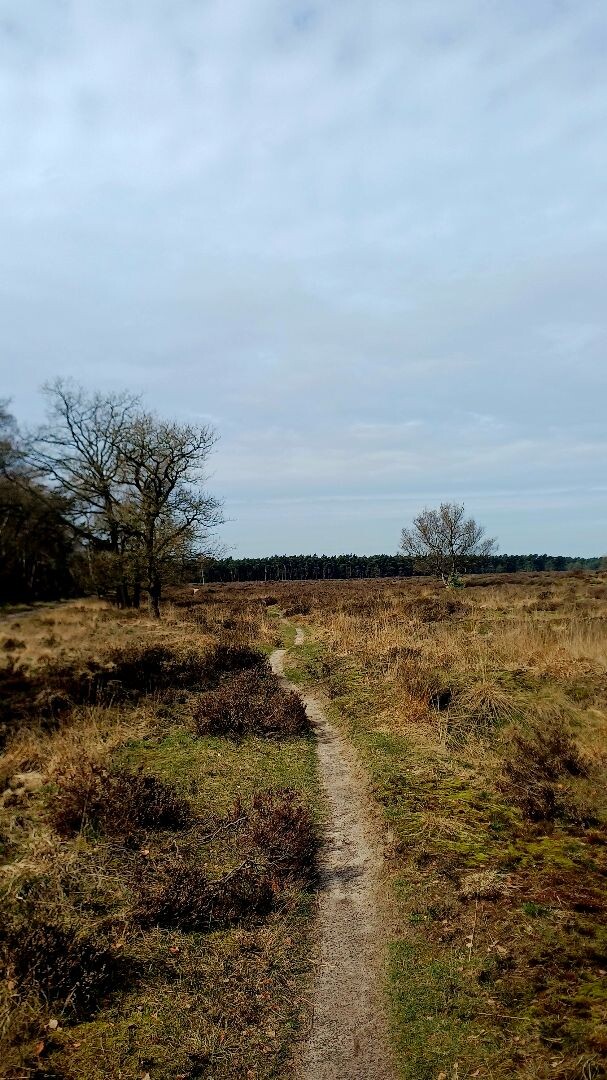Kootwijk - Veenhuizerveld · Marskramerpad etappe 11