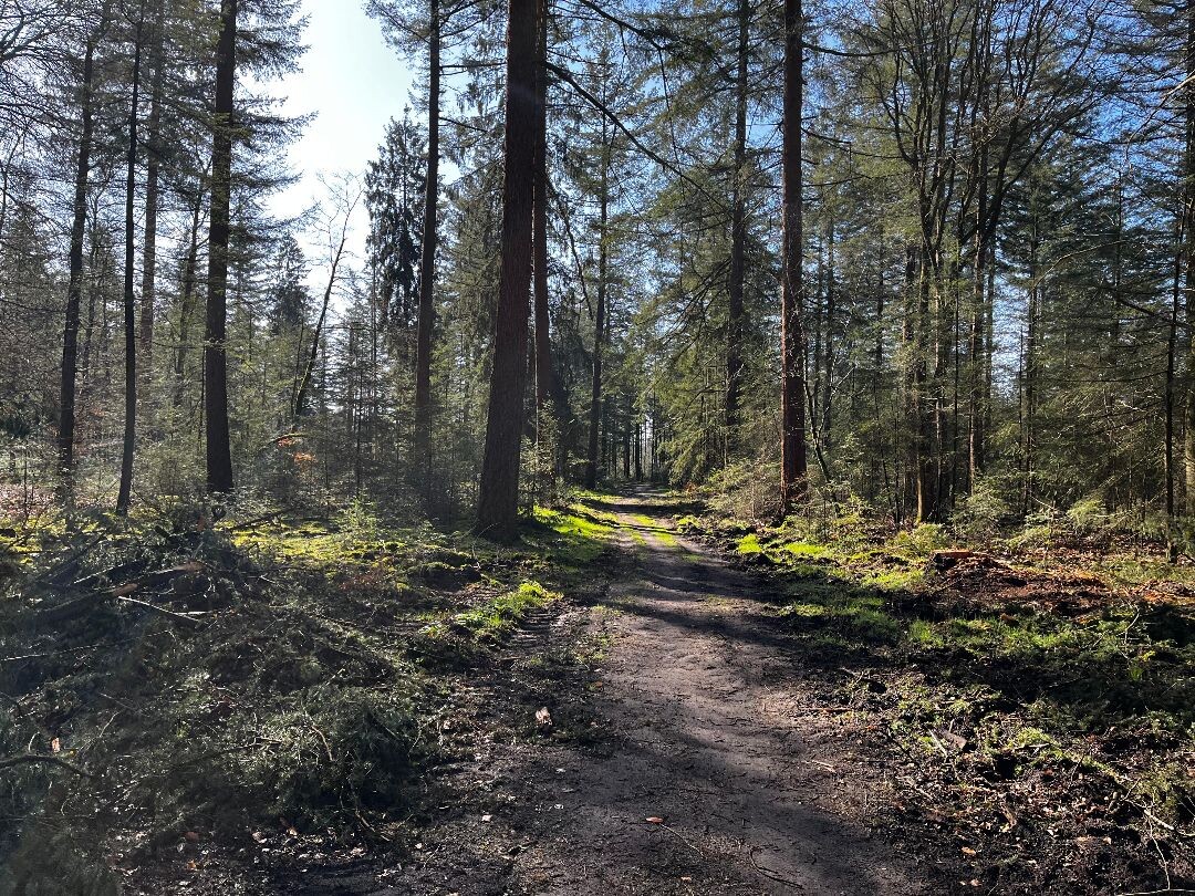 Kootwijk - Veenhuizerveld · Marskramerpad etappe 11