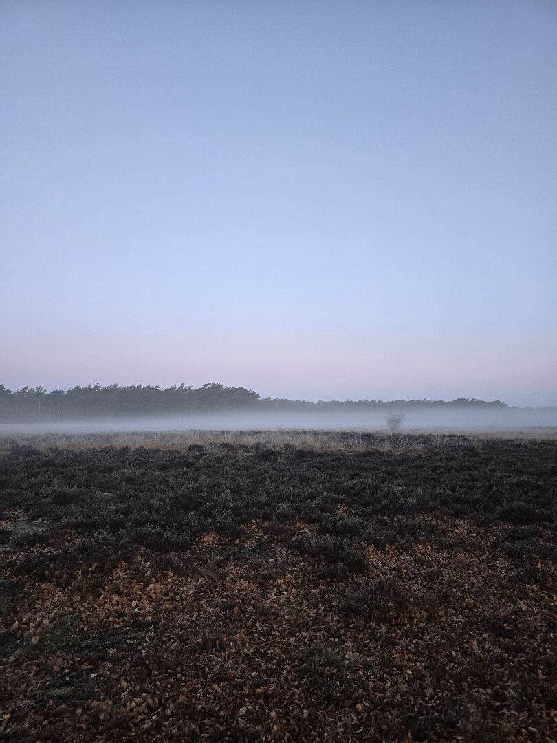 Mossel · Groene Halte etappe 10